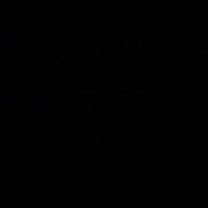 Meet your Posher, Perfectpick